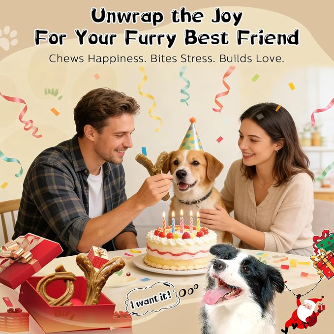WOWBALA 2 Pack Dog Chew Toys for Aggressive Chewers,Indestructible Dog Toy for Medium Large Dogs, Chew Toys to Keep Dogs Busy,Super Chewer with Tough Nylon, Reduce Boredom & Anxiety