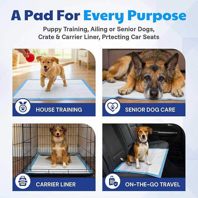 American Kennel Club Scented Puppy Training Pads with Ultra Absorbent Quick Dry Gel – 28 x 30 Pee Pads for Dogs - Fresh Scented - 50 Count, XL
