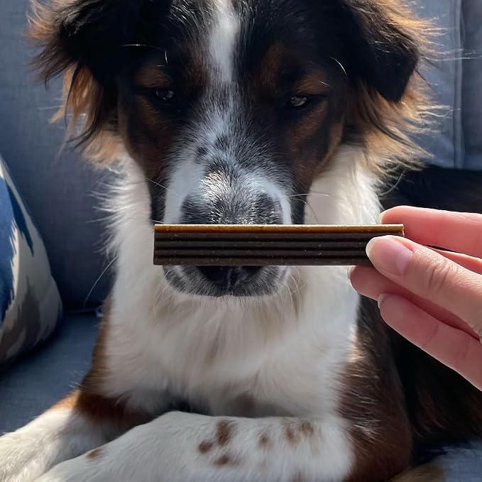 Bocce's Bakery Dental Brushy Sticks for Small Dogs – Natural, Wheat-Free Dental Bars to Support Oral Health & Fresh Breath, Made with Real Ingredients – Coconut & Mint Recipe (2 Pack Bundle)