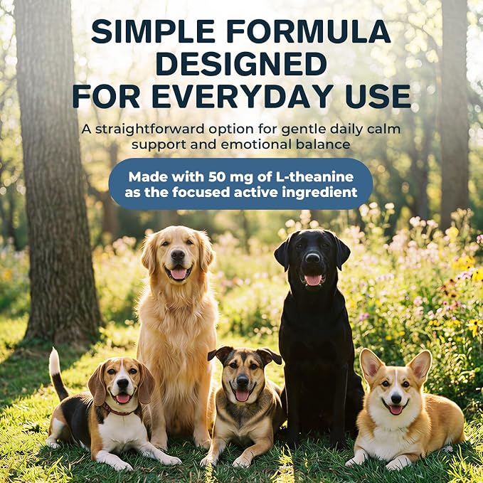 L-Theanine Supplement for Dogs & Cats, Supports Calm Behavior