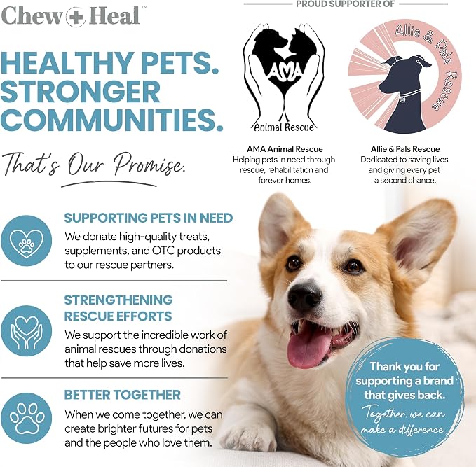 Dog Multivitamin Powder – 12-in-1 Formula with Probiotics, 14 oz | Puppy and Senior Dog Vitamins and Supplements, Glucosamine, Omega 3,6,9, Vitamins, Probiotics, and More