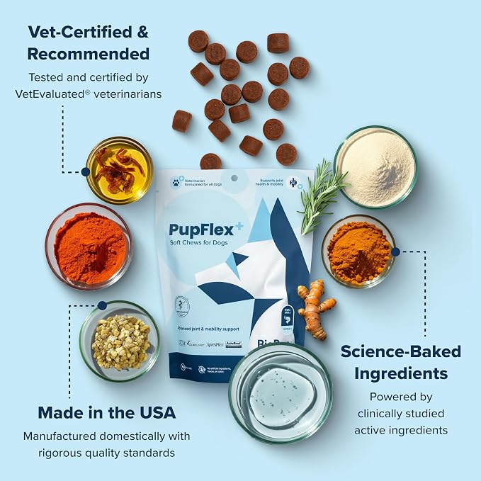 PupFlex+ Hip and Joint Supplement Dogs, Vet Created Soft Chews w/UC-II® Collagen, CurcuVET® & Omega 3 - UC-II Collagen More Effective Than Glucosamine Chondroitin, Dog Joint Supplement (60 ct)
