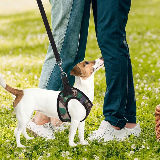 PUPTECK Adjustable Dog Harness Collar and Leash Set Step in No Pull Pet Harness for Small Medium Dogs Puppy and Cats Outdoor Walking Running, Soft Mesh Padded Reflective Vest Harnesses