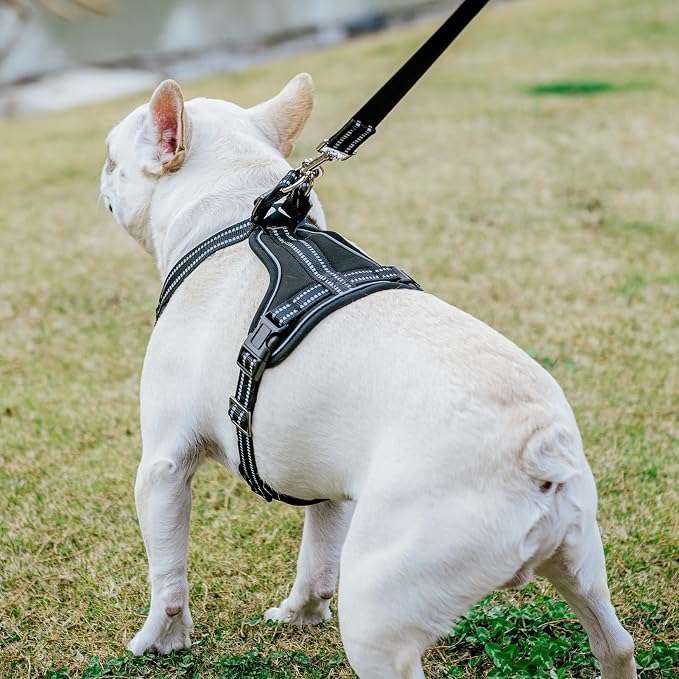 PUPTECK Dog Harness and Leash Set Small Sized, Adjustable Reflective Escape Proof Puppy Vest, No Pull Walking Harness Easy Control