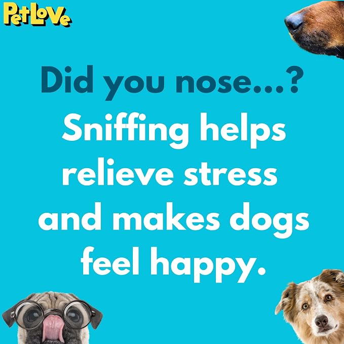 PetLove Nuzzle Puzzle Fling N Forage Stick, Interactive, Dual Textured, Enrichment, Foraging Dog Treat Toy, Retrieval & Fetch Toy, Fill with Treats, Paste and Food