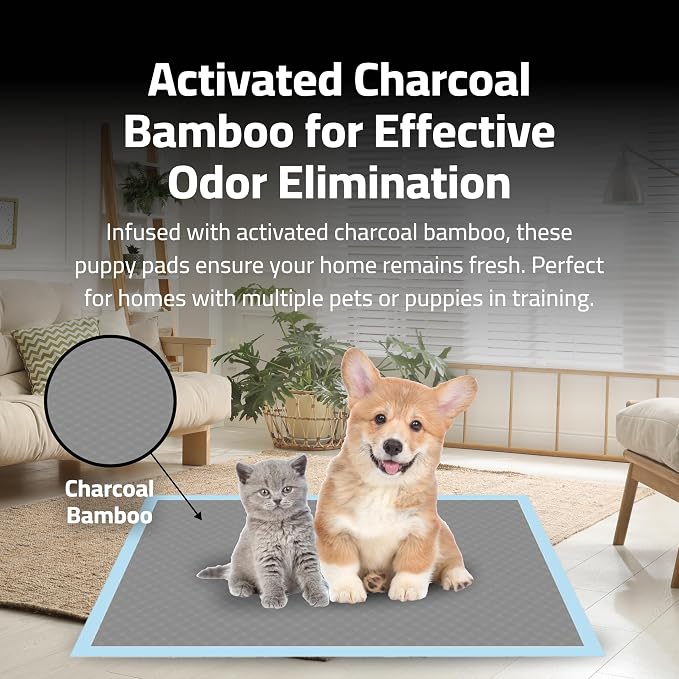 Epsilon Activated Charcoal Bamboo Odor Control Puppy Pads – 100 Count, Large Disposable Pee Pads w/ Super Quick Absorbent & 6-Layer Leak-Proof for Puppies & Cats - 24 x 24