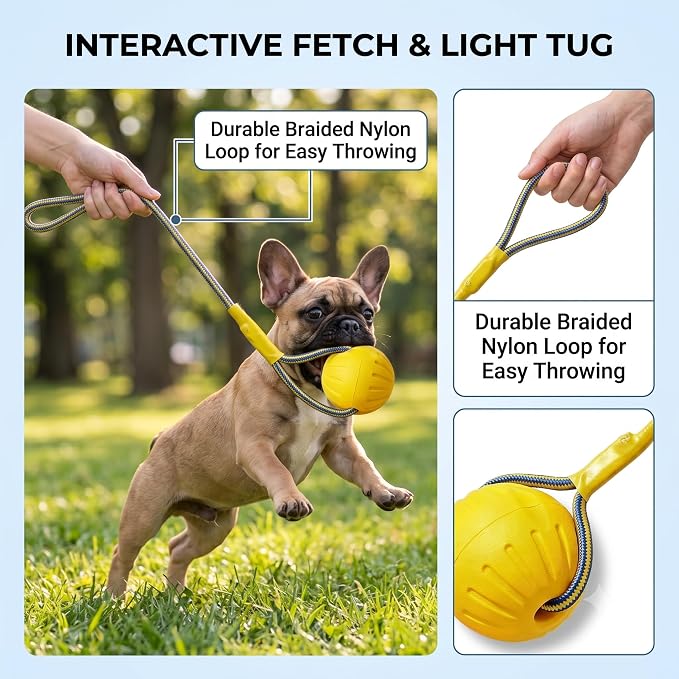 Dog Ball on Rope, Floating EVA Fetch Toy, Medium