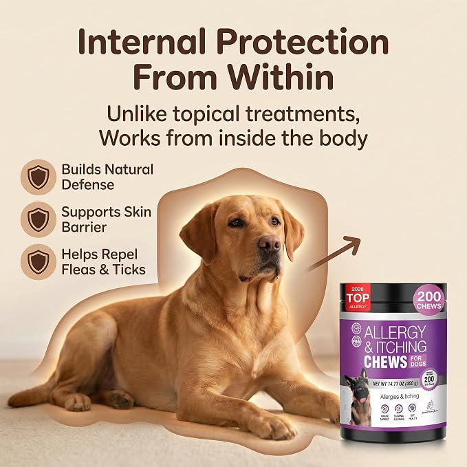 Dog Allergy Chews for Dogs, Itch Relief Support for Itchy Skin, Paw Licking & Itchy Ears, Skin & Coat Health with Colostrum & Probiotics, Chicken Flavor Soft Chews, 200 Count