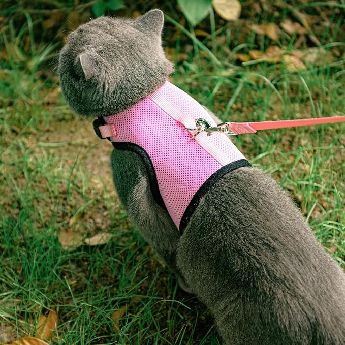 PUPTECK Soft Mesh Cat Vest Harness and Leash Set Puppy Padded Pet Harnesses Escape Proof for Cats Small Dogs Rabbits Bunny