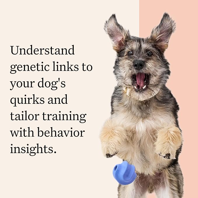 Wisdom Panel Premium DNA Test Kit, 2-Pack