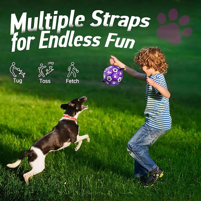 QDAN Dog Toys Soccer Ball with Straps - Dog Water Toy, Puppy Birthday Gifts, Durable Dog Balls for Small Medium Dogs (6 Inch) | 6 Inch Herding Ball for Small Dogs, Puppy Toy, Outdoor Toys Balls to Keep Them Busy, Dog Birthday Gift, 20-40 lbs Dogs