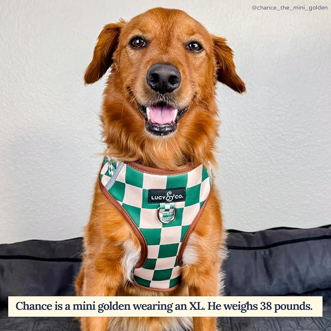 Lucy & Co. Cute No-Pull You're a Square Harness - Stop Pulling & Walk Easy - Harness Available in XS-XL for Small, Medium, and Large Dogs (X-Large, White & Green Checks)