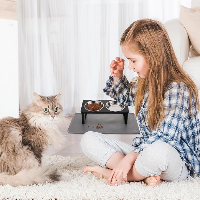 2 Pack Elevated Cat Bowls with Food Mat,15°Tilted Stand Anti Vomiting Raised Cat Dishes for Food and Water,2 Stainless Steel Bowls for Cats and Puppy