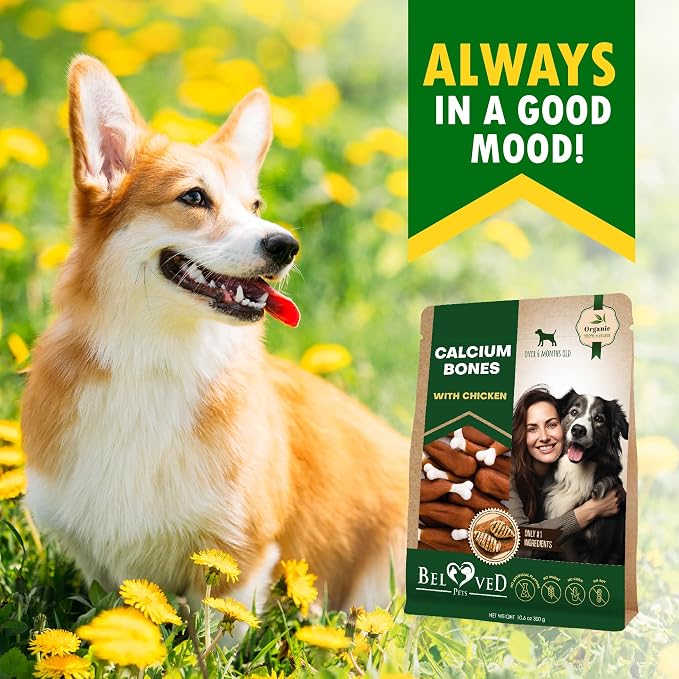 Dog Treats Bones Wrapped Chicken & Rawhide Free Chew - Pet Healthy Dried Snacks & Grain Free Meat - Bulk Best Chews for Small & Large Dogs - Made for USA (24 oz (Pack of 1), Calcium Bones)