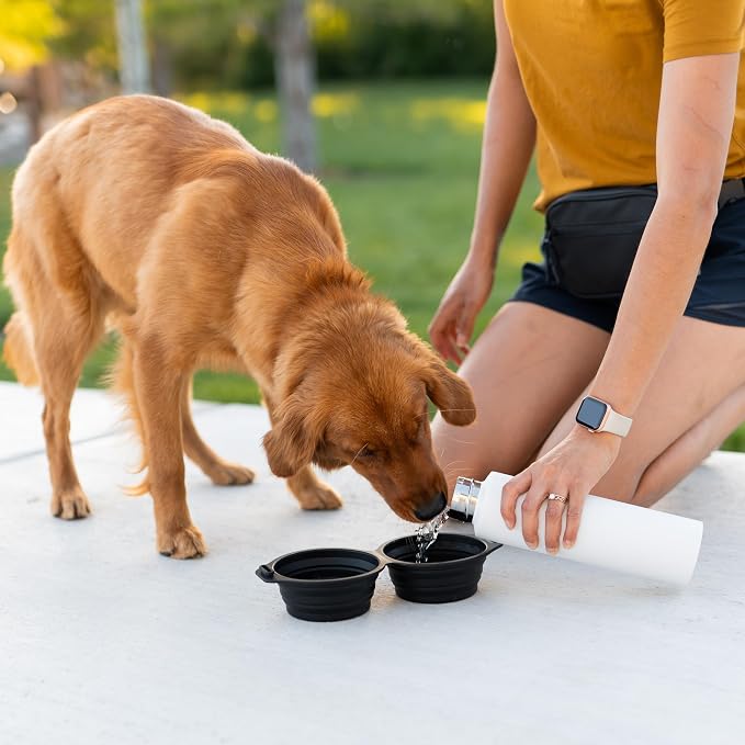 Pup Culture Dual Collapsible Dog Bowls | Silicone Travel Water Bowl for Dogs | Food Grade, No Plastic Rim, Portable Dog Bowl for Food and Water - Easy to Clean | BPA Free and Safe for Your Pup-Navy