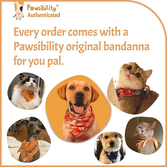 Pawsibility Reinvented Pet Nail Clippers with LED Light - Pink