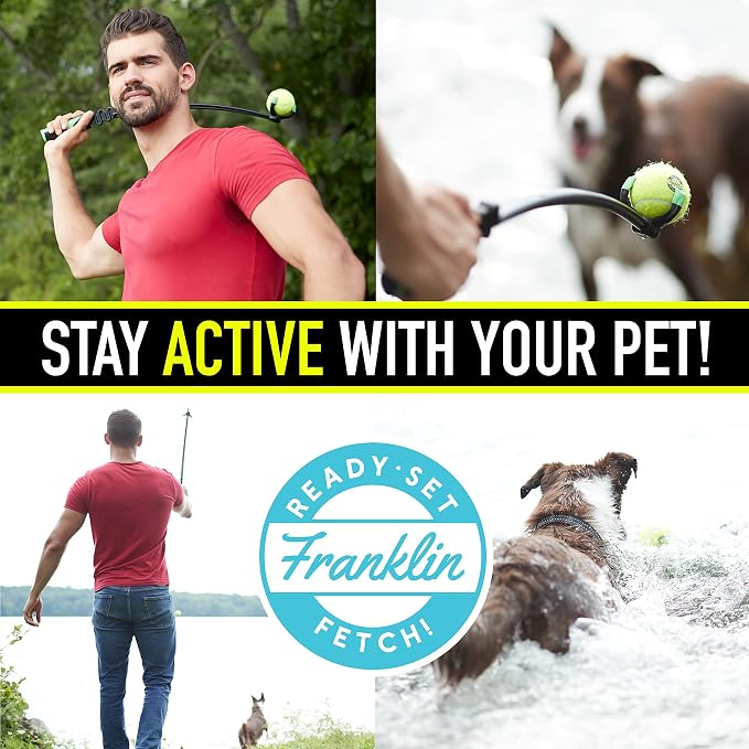 Franklin Sports Ready Set Fetch Squeaker Tennis Ball Dog Toy - 12 Pack | Fun Noise-Making Feature, Tough + Durable Build, Ideal For Small To Large Pets, Great For Active Play, Park + Yard Fun
