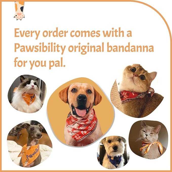 Pawsibility Reinvented Pet Nail Clippers with LED Light