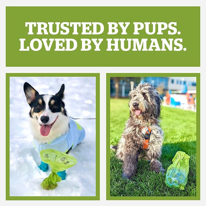 Pogi's Compostable Poop Bags for Home & Yard – Leak-Proof, Extra-Large, Made with Plants (Single Roll, 140-Count)