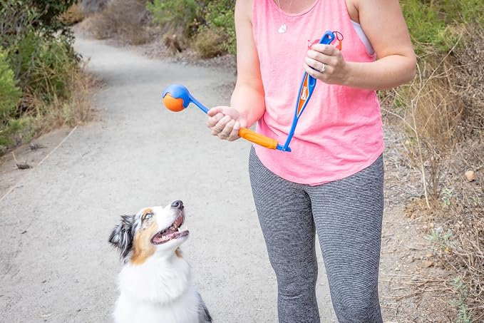Chuckit! Fetch and Fold Mini 18M Launcher with Medium 2.5in Ball | Folding Locking-Slide Launcher with Bungee Tether for Easy Storage, Throws Farther for Dogs 20 to 60 lbs