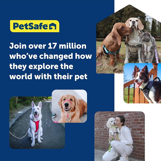 PetSafe Gentle Leader No-Pull Dog Headcollar - The Ultimate Solution to Pulling - Redirects Your Dog's Pulling for Easier Walks - Helps You Regain Control - Large, Charcoal (Pack of 6)