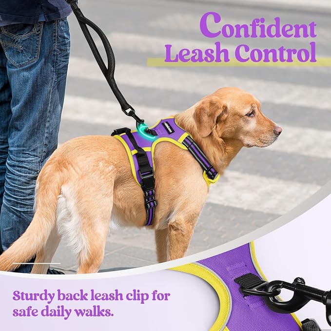 rabbitgoo Dog Harness, No Pull for Large Dogs with 2 Leash Clips, Pet Vest | No Choke with Handle, Adjustable Soft Padded, Reflective, Easy Control for Walking, Purple & Yellow, X-Large