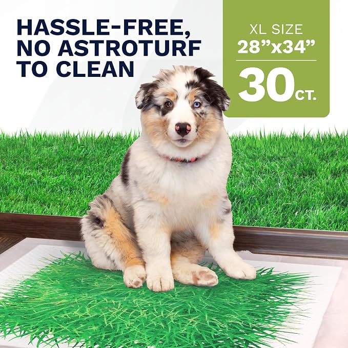 Big Dawg Pet Supplies Absorbent Puppy Pee Pads for Dogs & Cats – XL 28x34in Disposable Pet Pads – Handy Grab-n-Go Box – Potty Training & Housebreaking Supplies – Color, Grass – 30pc