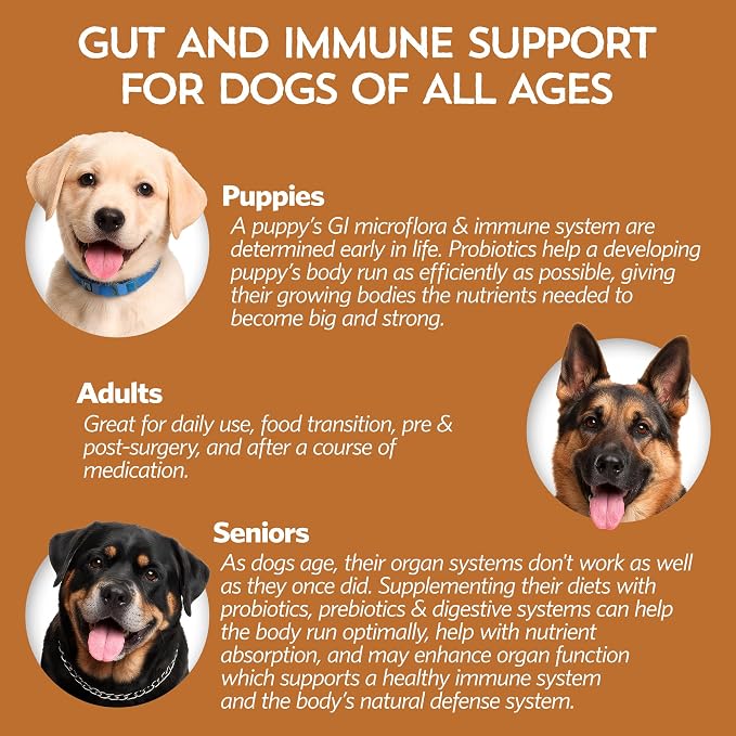 Fidobiotics Good Guts Probiotics for Large Dogs, Pack of 2