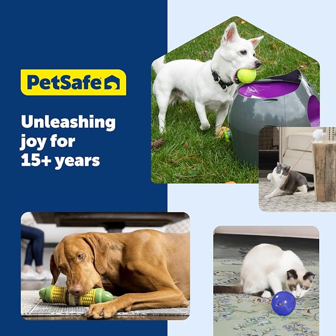 PetSafe Busy Buddy Jack - Treat Holding Dog Chew Toys - Helps Clean Teeth - Vanilla Scented Rubber for Strong Chewers - Treat Refills Included - Interactive Dog Toy Keeps Dogs Busy - Purple, Medium | Vanilla Scented Textured Rubber for Strong Chewers, ...