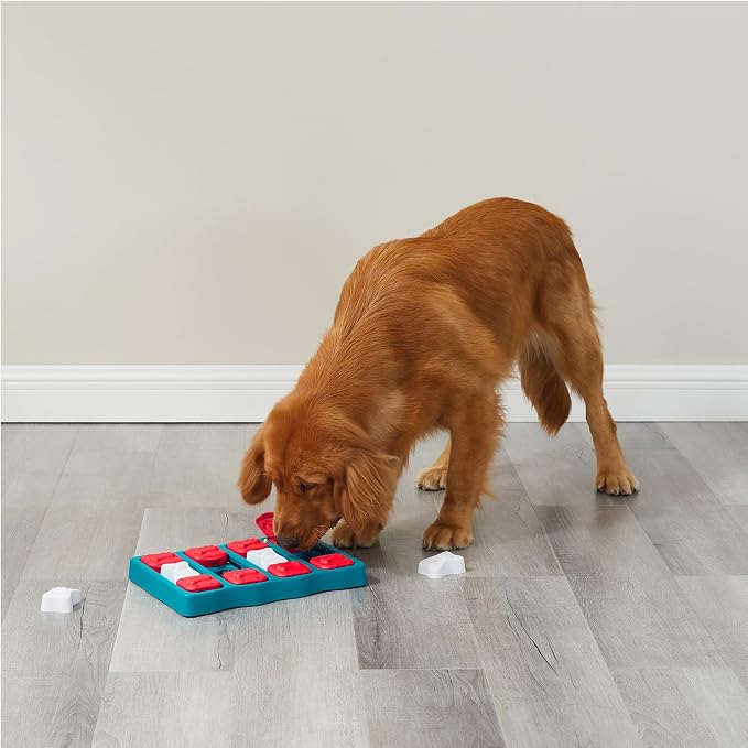 Outward Hound by Nina Ottosson Dog Brick – Interactive Treat Puzzle Enrichment Toy, Level 2 Intermediate, 1 Count (Pack of 12)