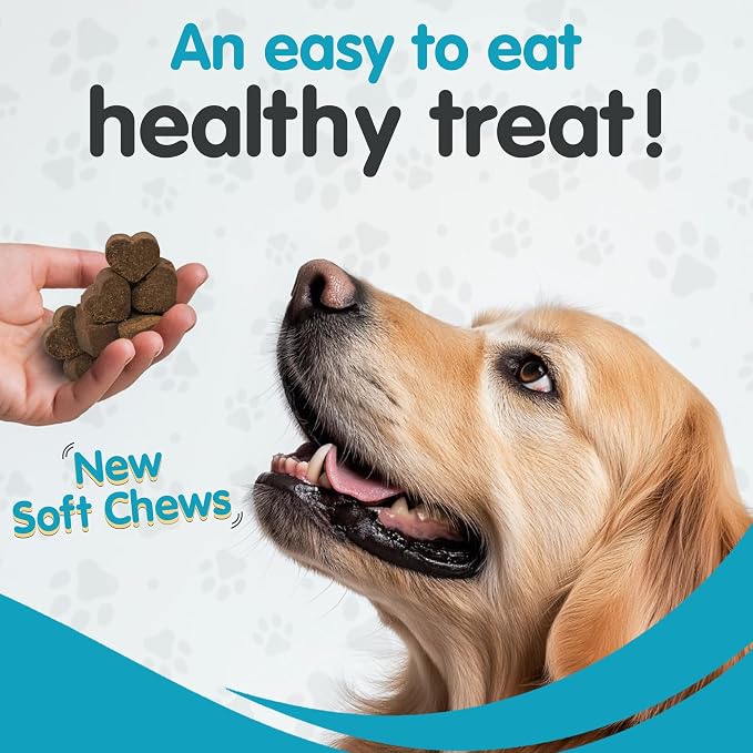 Wanderfound Pets - Omega 3 for Dogs, Skin and Coat Fish Oil, Dog Itch Relief, Soft Chews