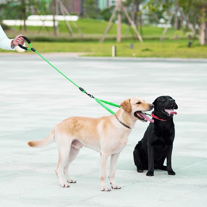 iYoShop Double Dog Leash, 360° Swivel, No Tangle, Large, 25-150lbs, Emerald | Dual Leash for Two Dogs, Split Leash, Shock-Absorbing Bungee, Padded Handle, Heavy-Duty Rope