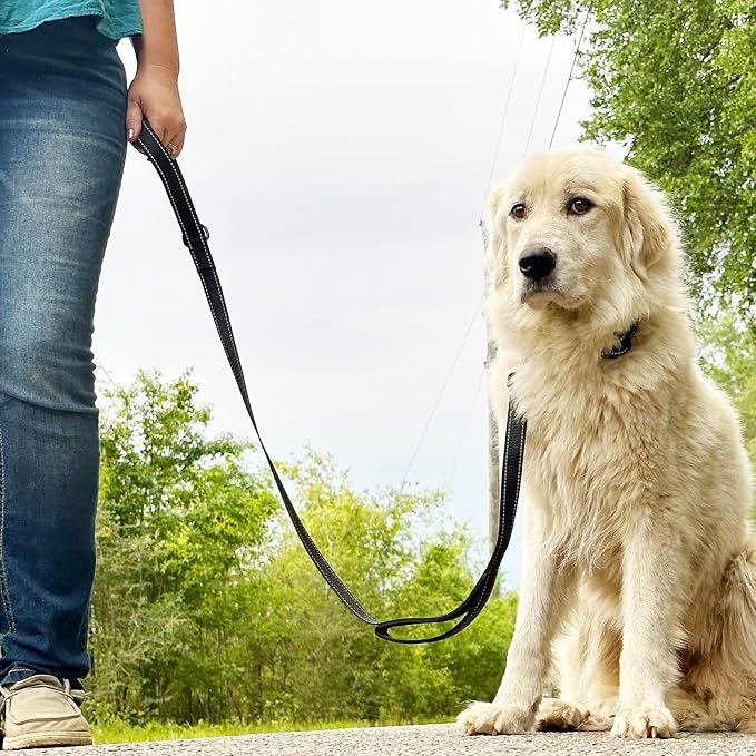 Joytale Dog Leash for Large Dogs that Pull, Double Handle, 6FT, Black | Traffic Handle for Control, Padded Handle Reduces Hand Strain, Reflective Stitching for Night Safety, Strong Nylon Webbing