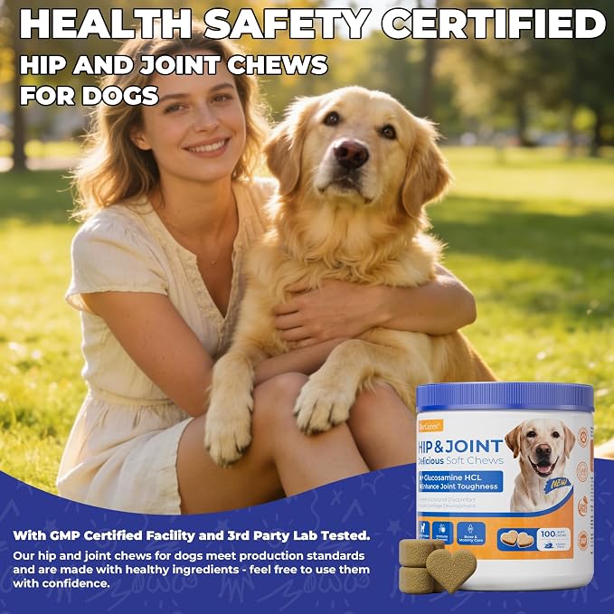 Hip & Joint Supplement for Dogs, Hip and Joint Chews Support Mobility, Senior Small All Breed Pain Relief with Glucosamine Chondroitin MSM Turmeric Green Lipped Mussel, Chicken Flavor, 100 Ct