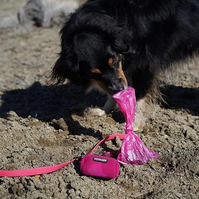 Best Pet Supplies Dog Poop Bags for Waste Refuse Cleanup, Doggy Roll Replacements for Outdoor Puppy Walking and Travel, Leak Proof and Tear Resistant, Thick Plastic - Pink Heart, 240 Bags