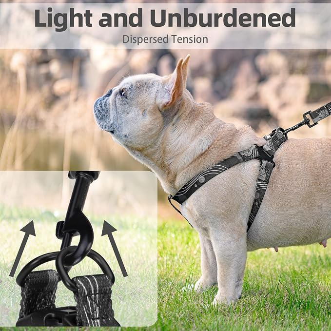 PUPTECK No Pull Dog Harness Small Sized Step-in Adjustable Puppy Vest | Soft Webbing Basic Halter with Leash for Outdoor Walking