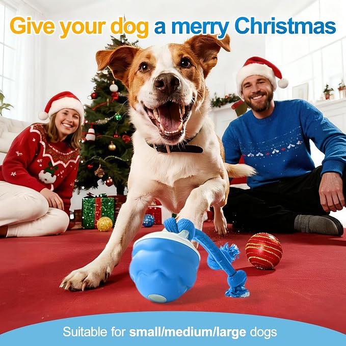 Interactive Dog Ball, Blue USB-C Rechargeable Rolling Toy | Touch activation starts rolling and chirping play modes for supervised indoor sessions