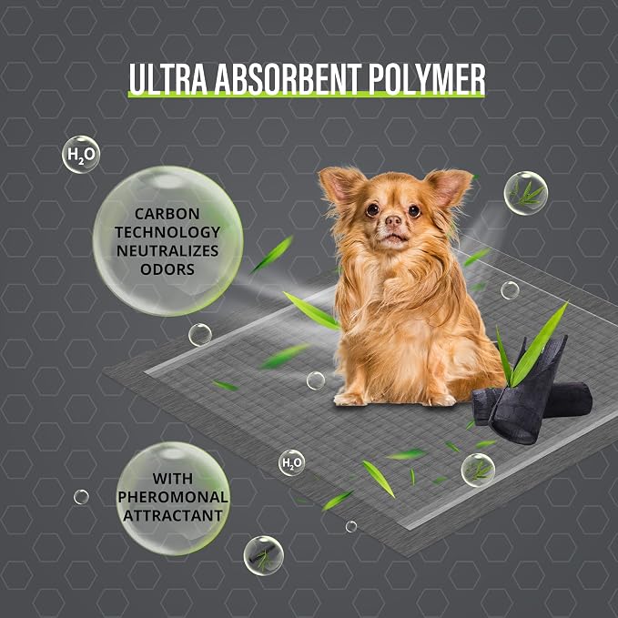 COCOYO Dog Training Pads 丨 Carbon Absorb Eliminating Urine Odor Doggie Training Pads 丨 Premium Charcoal Dog Pee Pads (100 Count, 22x22 inch),Gray