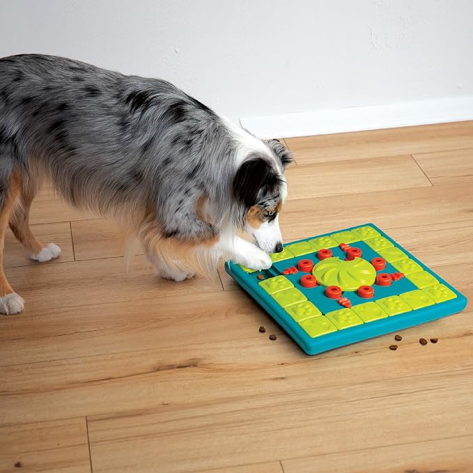 Outward Hound Nina Ottosson MultiPuzzle Dog Toy Treat Puzzle, 15" | Level 4 Expert, 28 Hidden Treat Compartments, Holds 1 Cup Kibble or Treats, Easy Clean, No BPA, Enrichment, Dogs & Puppies