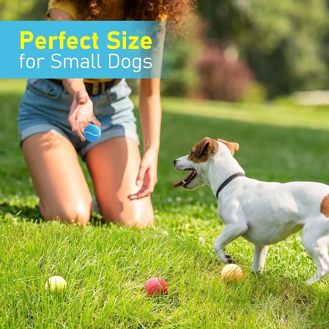 Prime Pets Dog Tennis Balls 4 Pack, 2" Durable High-Bounce Mini Tennis Balls for Dogs, Squeaky Dog Ball for Fetch & Training, Outdoor Interactive Dog Toy Ball for Small Dogs Puppy Puppies