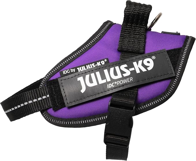 Julius-K9 IDC Powerharness, Size: XS/Mini-Mini, Dark Purple