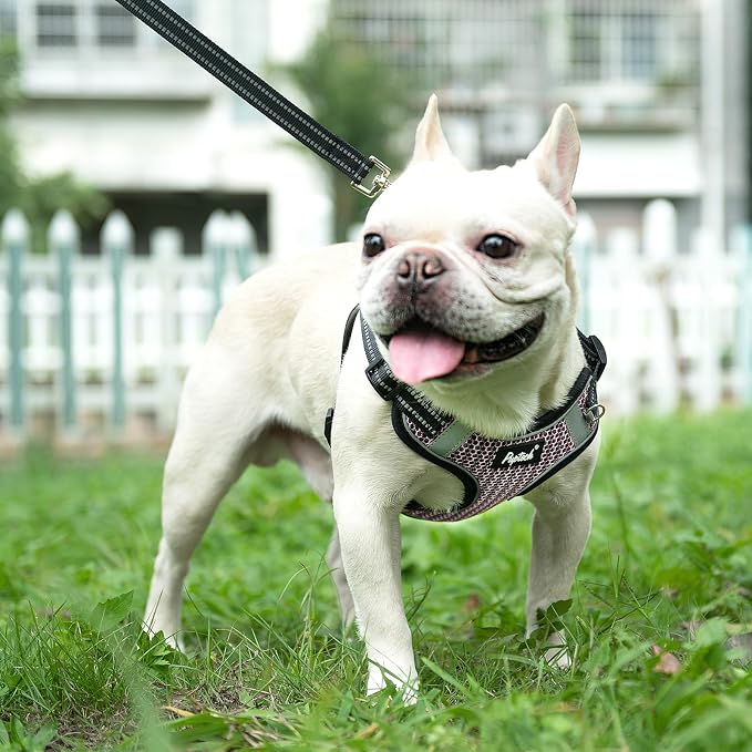 PUPTECK Dog Harness and Leash Set Small Sized, Step in No Pull Adjustable Puppy Cat Harness Reflective Pet Vest
