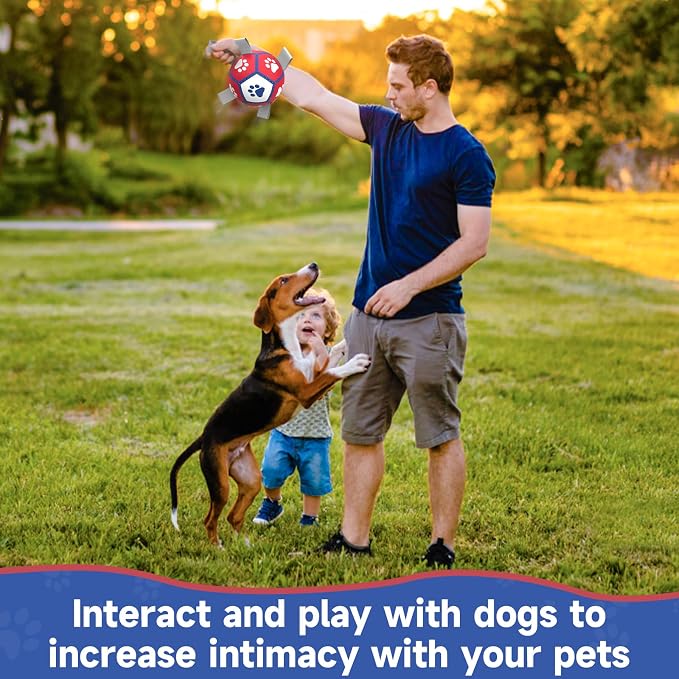 Diman Small Dog Toys, 5 Inch Dog Balls, Soccer Ball for Dogs with Straps | Interactive Dog Balls for 5-20 Lbs Dogs, Dog Water pool Toy, Herding Ball for Small Dogs, Puppy Toys for Birthday Gifts