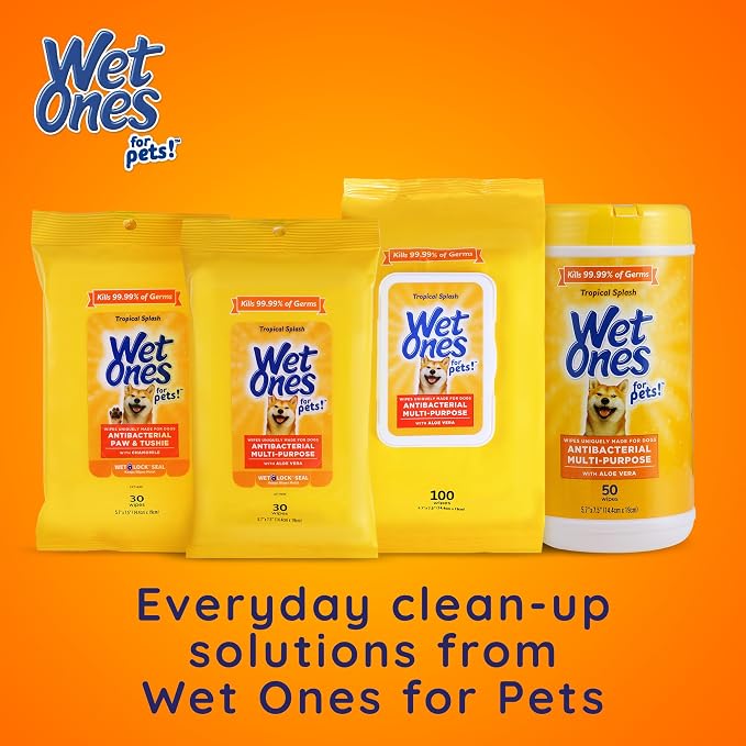 Wet Ones for Pets Multipurpose Dog Wipes with Aloe Vera, Tropical Splash Scent - Extra Large Pet Bathing Wipes with Wet Lock Seal for Paws and All-Over Use, 10 Count