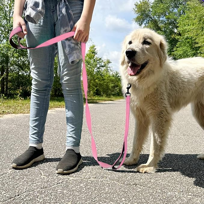 Joytale Dog Leash for Large Dogs that Pull, Double Handle, 4FT, Pink | Traffic Handle for Control, Padded Handle Reduces Hand Strain, Reflective Stitching for Night Safety, Strong Nylon Webbing