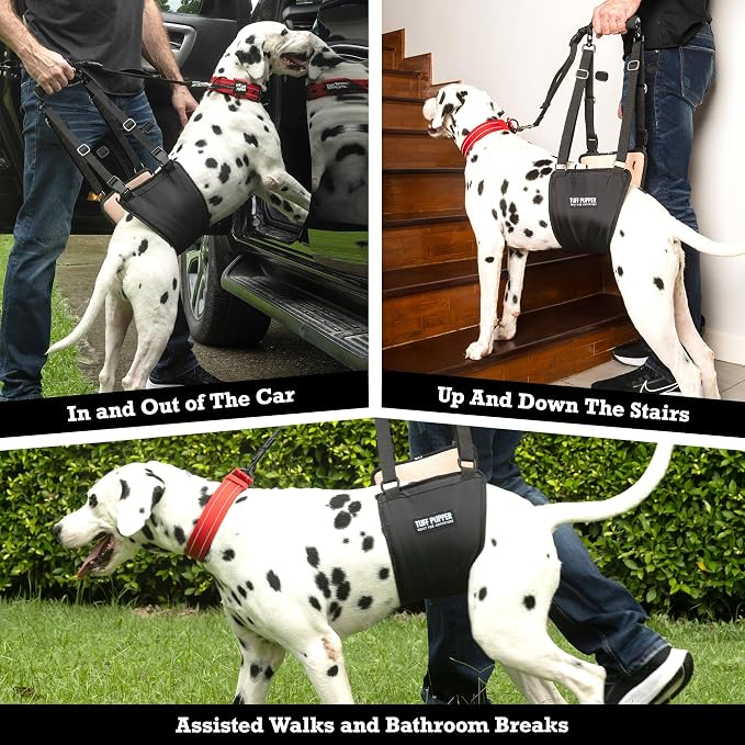 Tuff Pupper Dog Sling Hip Harness | Rear Lift Support for Senior & Injured Dogs | Adjustable Mobility Aid | Strong Padded Handle | Comfortable Design | Hip & Hind Leg Assistance (Tall, Male)