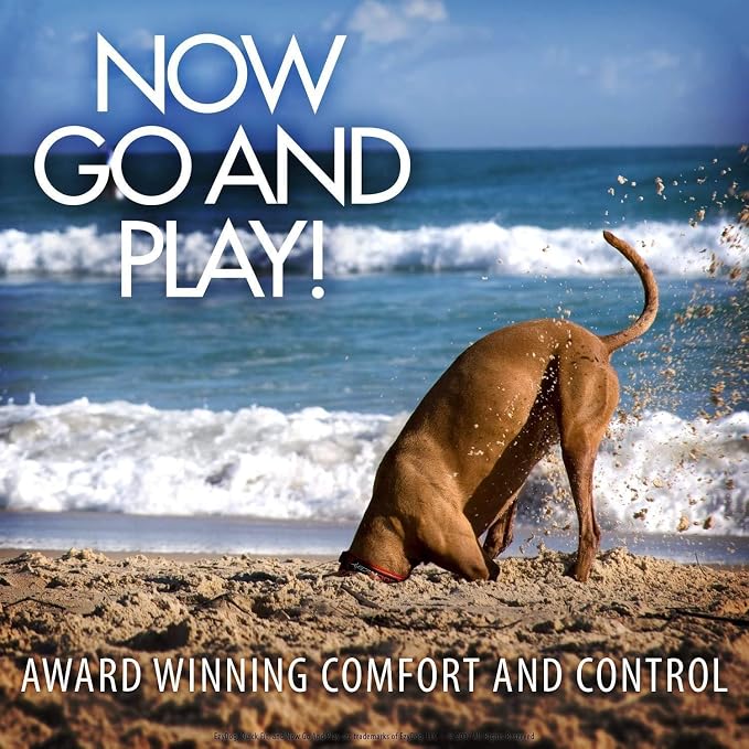 EzyDog Zero Shock Lite - Bungee Dog Leash, for Small Dogs - 72", Gray | Shock Absorbing, Padded Neoprene Grip, Reflective Stitching, Strong for Pullers, .5" Soft Touch Webbing for Durability