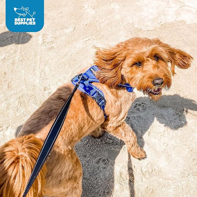 Voyager Dual Attachment No Pull Harness - Royal Blue, X-Small | 13 - 16" in Chest, No Pull Dog Harness, Fully Adjustable, 3M Reflective Technology, Front & Back D-Rings, Walking & Training