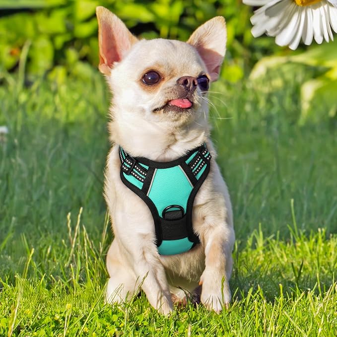 rabbitgoo Dog Harness, No Pull for Small Dogs with 2 Leash Clips, Pet Vest | No Choke with Handle, Adjustable Soft Padded, Reflective, Easy Control for Walking, Turquoise, X-Small