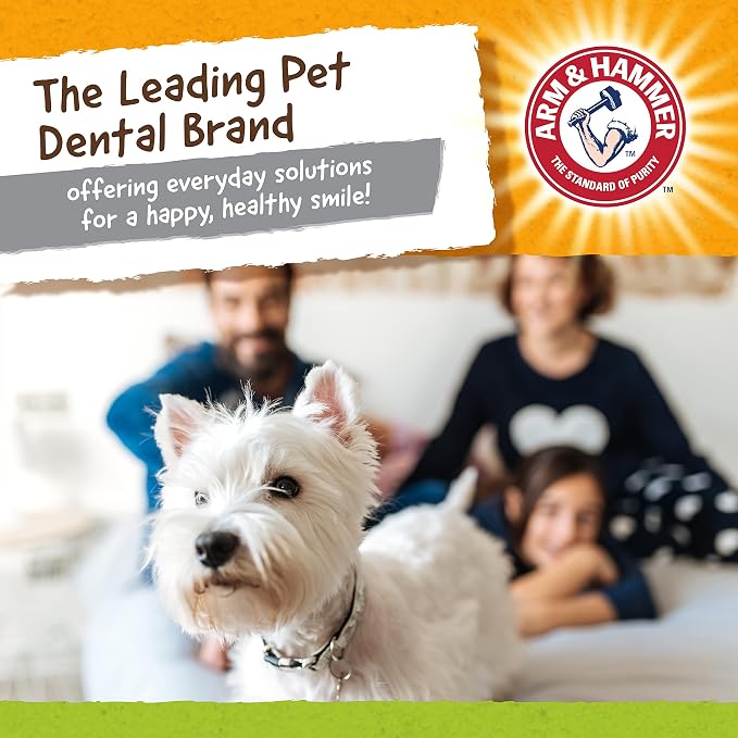 Arm & Hammer for Pets Nubbies Duality Bone Dental Dog Toy| Best Chew Toy for Moderate Chewers | Helps Reduce Plaque & Tartar | Green Apple Flavor Baking Soda (Pack of 2)